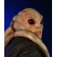 Star Wars Bust 1/6 Kit Fisto 18 cm